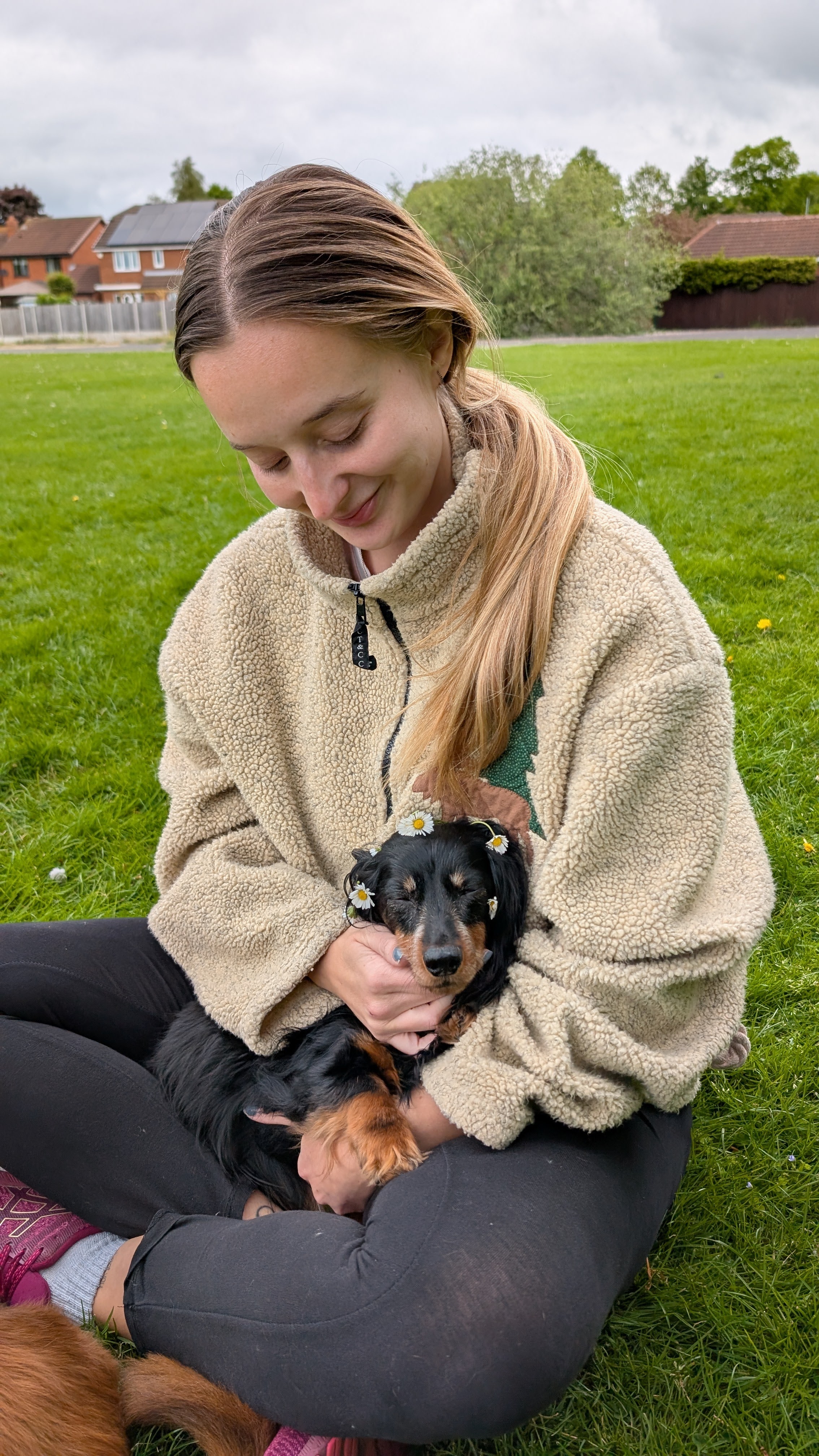 daisy